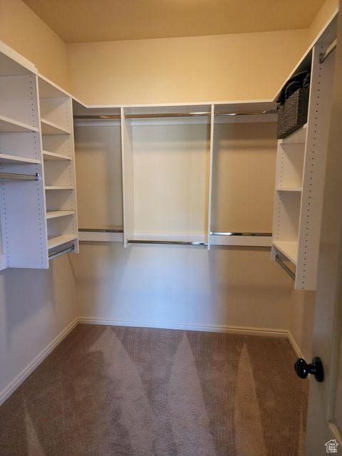 779 S 1850 W, Cedar City, UT 84720 - spacious closet featuring carpet floors