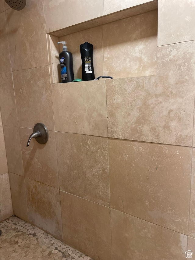 4825 S Burch Creek Dr E, South Ogden, UT 84403 - bathroom view of tiled shower