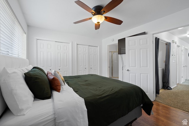 429 S Storrs Ave, American Fork, UT 84003 - bedroom featuring two closets and a ceiling fan