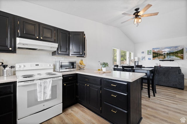 429 S Storrs Ave, American Fork, UT 84003 - kitchen with under cabinet range hood, white electric range oven, stainless steel microwave, a peninsula, and dark cabinets