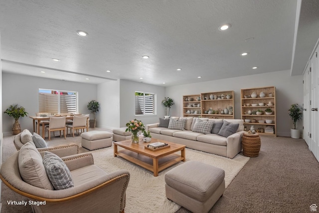 1047 N 700 W, Mapleton, UT 84664 - carpeted living area with recessed lighting and a textured ceiling