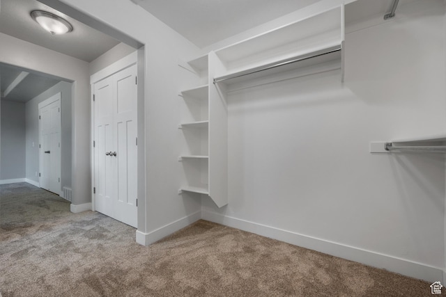 1047 N 700 W, Mapleton, UT 84664 - spacious closet with carpet flooring