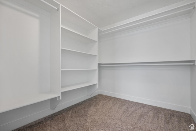 1047 N 700 W, Mapleton, UT 84664 - spacious closet featuring carpet flooring