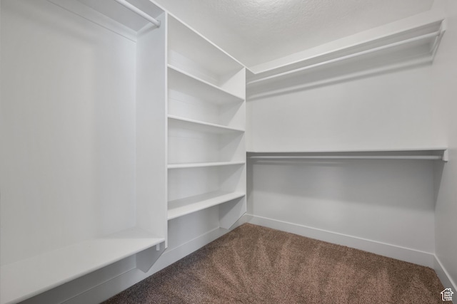 1047 N 700 W, Mapleton, UT 84664 - walk in closet featuring carpet flooring