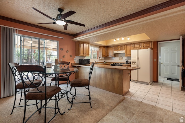 845 S 80 W, Hurricane, UT 84737 - kitchen with white refrigerator with ice dispenser, crown molding, a textured ceiling, a peninsula, and stove