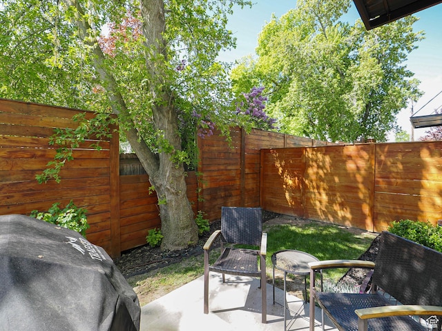 4535 S Bleecker Pl, Millcreek, UT 84117 - fenced backyard with a patio and grilling area