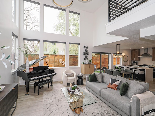 4535 S Bleecker Pl, Millcreek, UT 84117 - living room featuring a high ceiling and light wood-type flooring