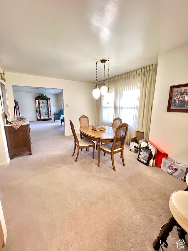 310 S 100 W, Monroe, UT 84754 - dining space with light carpet