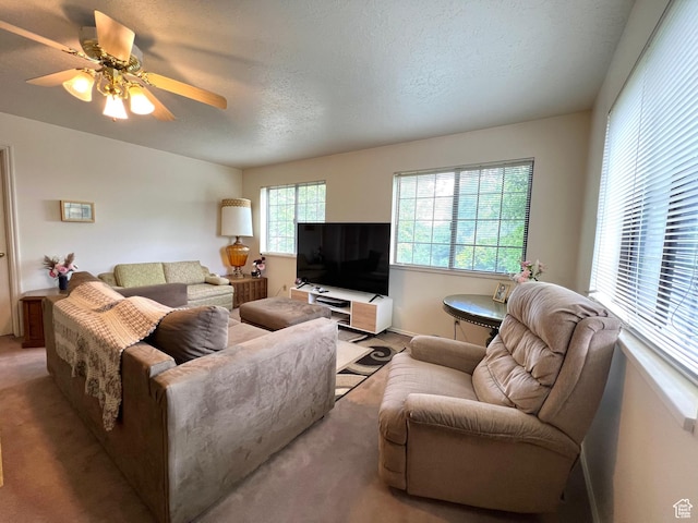 310 S 100 W, Monroe, UT 84754 - living area with carpet and a ceiling fan