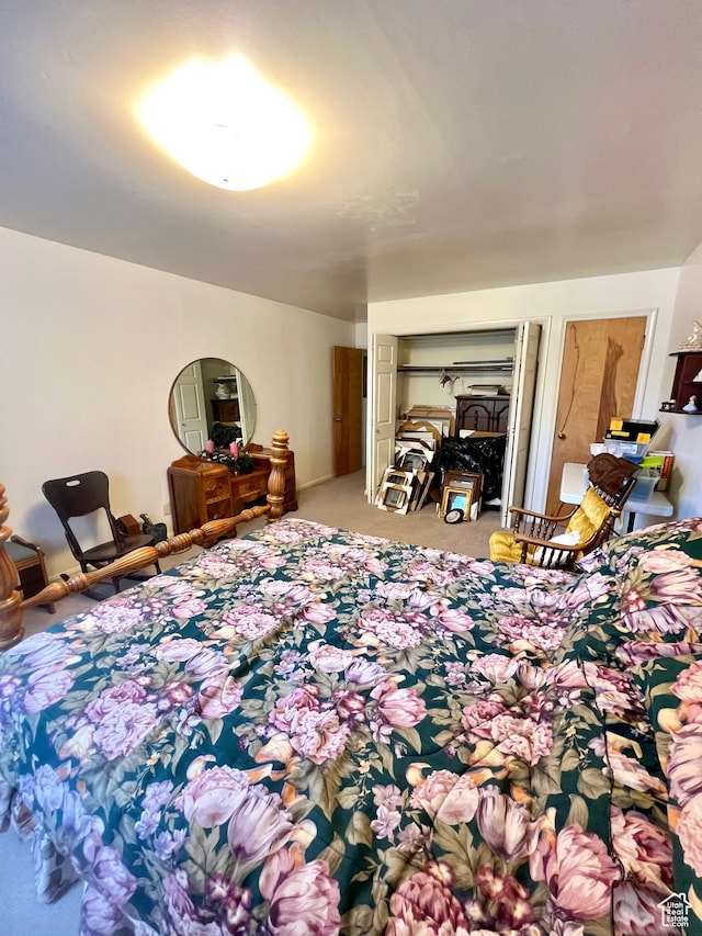 310 S 100 W, Monroe, UT 84754 - view of carpeted bedroom