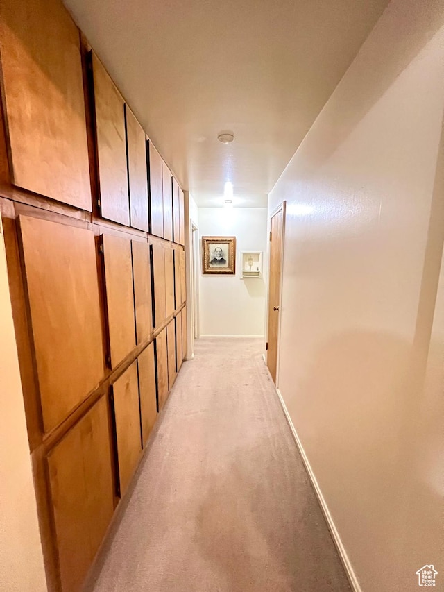 310 S 100 W, Monroe, UT 84754 - hall featuring light carpet and baseboards