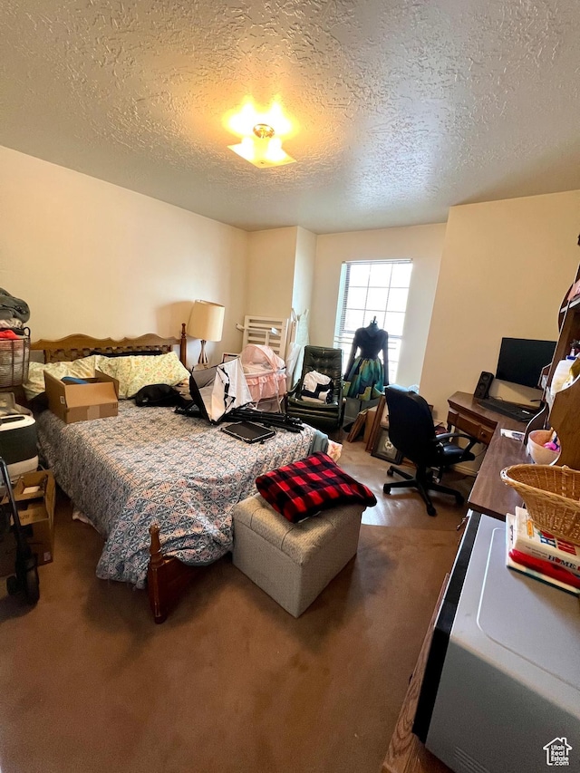 310 S 100 W, Monroe, UT 84754 - bedroom featuring carpet floors and a textured ceiling