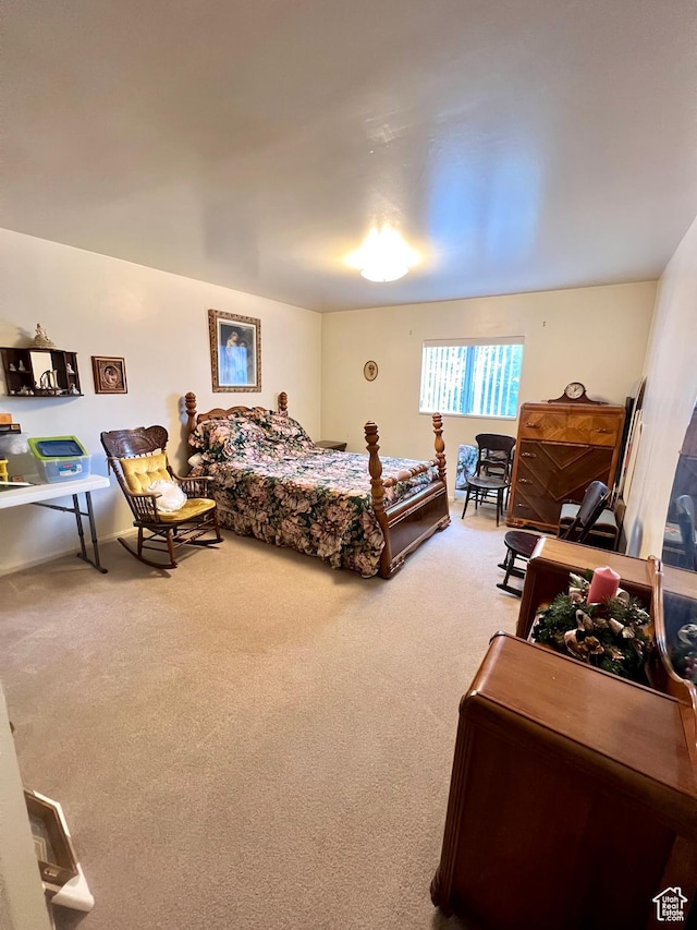 310 S 100 W, Monroe, UT 84754 - view of carpeted bedroom