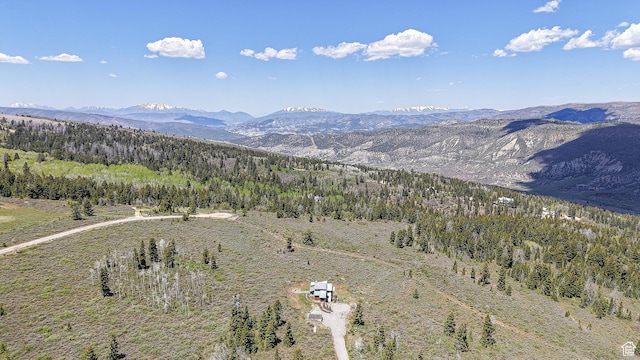 22677 E Snowbird Dr Unit 47, Spanish Fork, UT 84660 - view of mountain background with a forest