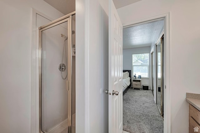 267 W Noah Cir S, Murray, UT 84107 - full bath with a stall shower, ensuite bath, vanity, and a textured ceiling