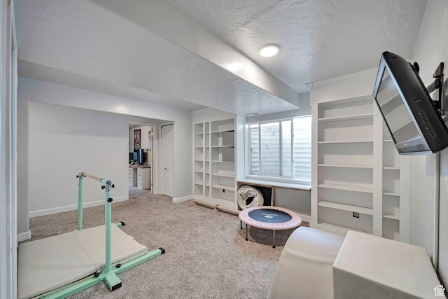 267 W Noah Cir S, Murray, UT 84107 - workout area with carpet flooring, baseboards, and a textured ceiling