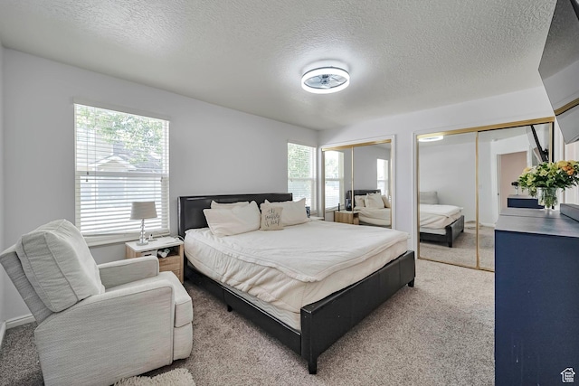 267 W Noah Cir S, Murray, UT 84107 - bedroom with two closets, carpet flooring, and a textured ceiling
