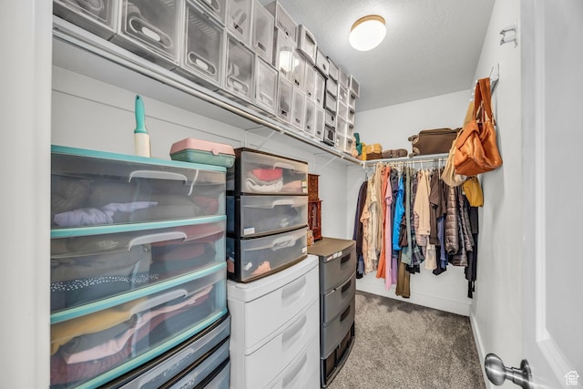 161 E 27th St S, Ogden, UT 84401 - spacious closet featuring carpet floors