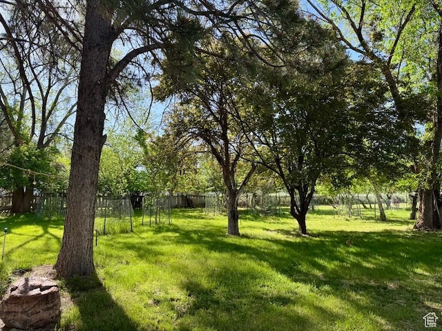 30 E 300 S, Fillmore, UT 84631 - view of yard