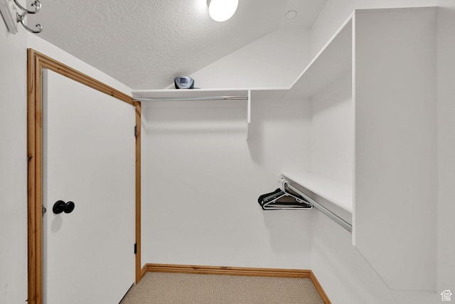 5063 E Lakeview Dr Unit 1001, Eden, UT 84310 - spacious closet featuring carpet flooring and lofted ceiling