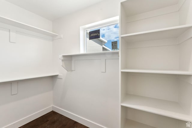 1615 N Angel St Unit D, Layton, UT 84041 - walk in closet with dark wood-type flooring