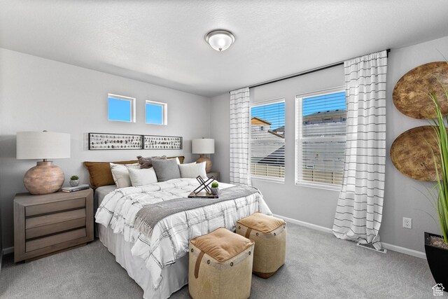 383 N Colonnade Rd Unit 1013, Saratoga Springs, UT 84045 - carpeted bedroom with multiple windows and baseboards