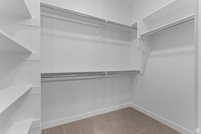 3931 W Red Clover Dr, Lehi, UT 84043 - walk in closet with carpet