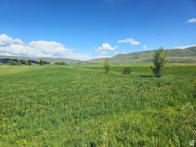 777 E 4th S, Dingle, ID 83233