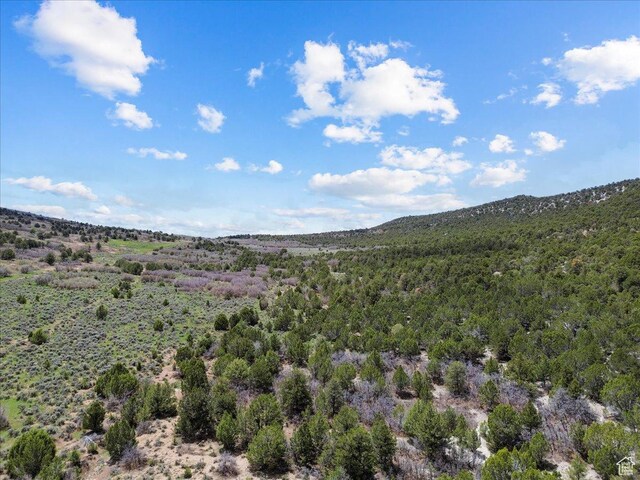Mayfield, UT 84643 - photo 10