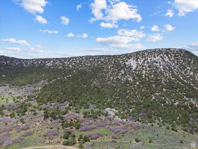 Mayfield, UT 84643 - photo 4