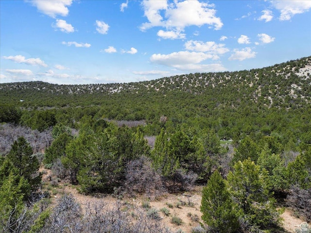 Mayfield, UT 84643 - photo 1