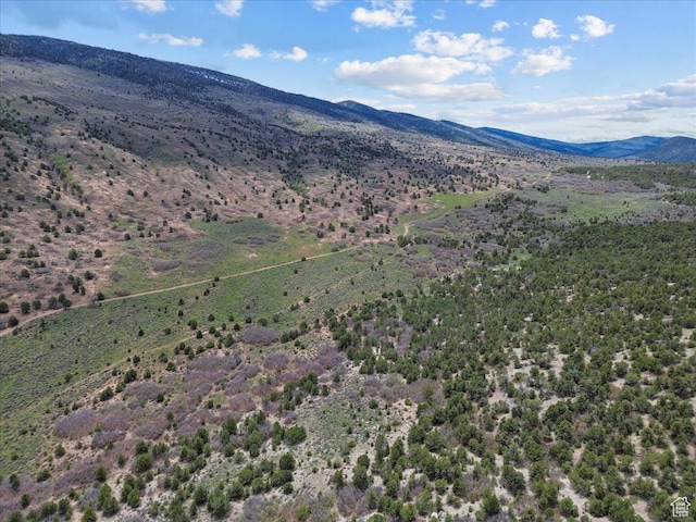 Mayfield, UT 84643 - photo 2