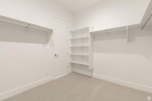 705 W Emerald Point Dr, St George, UT 84790 - spacious closet featuring light carpet