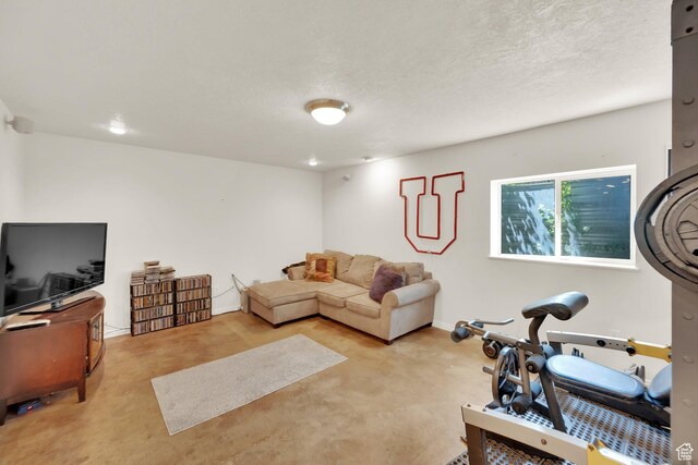 10132 S Kalinda Dr, Sandy, UT 84092 - living area with a textured ceiling and baseboards
