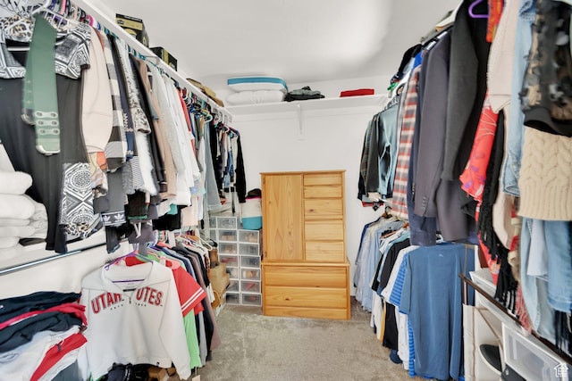 10132 S Kalinda Dr, Sandy, UT 84092 - spacious closet with carpet flooring