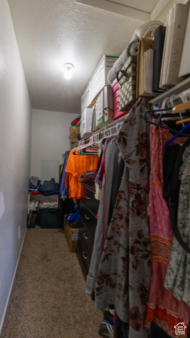 405 Bramblewood Dr, Cedar City, UT 84721 - spacious closet featuring carpet flooring