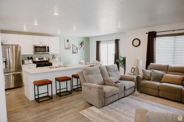 1859 N Blue Iris Ave Unit 1078, Tooele, UT 84074 - living room featuring light wood-type flooring
