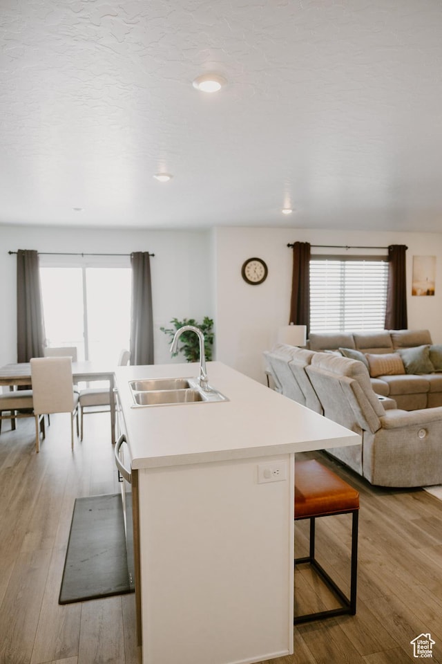 1859 N Blue Iris Ave Unit 1078, Tooele, UT 84074 - kitchen featuring a sink, light wood-type flooring, and plenty of natural light