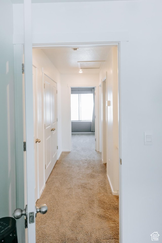 1859 N Blue Iris Ave Unit 1078, Tooele, UT 84074 - hall featuring light carpet, attic access, and baseboards