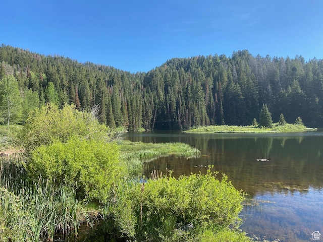 3707 River Vu Unit 135, Oakley, UT 84055