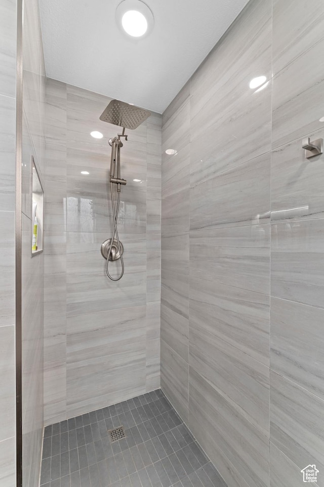 1616 E Waters Ln, Sandy, UT 84093 - bathroom featuring tiled shower and tile patterned flooring