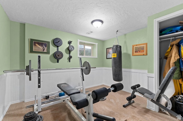 1616 E Waters Ln, Sandy, UT 84093 - exercise room with wainscoting, a textured ceiling, and carpet floors