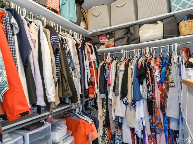 1038 N Plaza Dr, Richfield, UT 84701 - view of walk in closet
