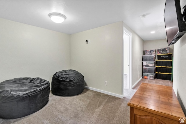 1038 N Plaza Dr, Richfield, UT 84701 - interior space featuring baseboards and carpet floors