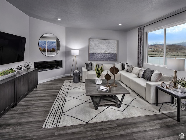 424 W 630 N Unit 0005, Tooele, UT 84074 - living room with a textured ceiling, baseboards, wood finished floors, recessed lighting, and a glass covered fireplace