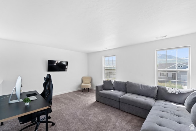 47 E Broxburn Way N, Tooele, UT 84074 - carpeted office with baseboards