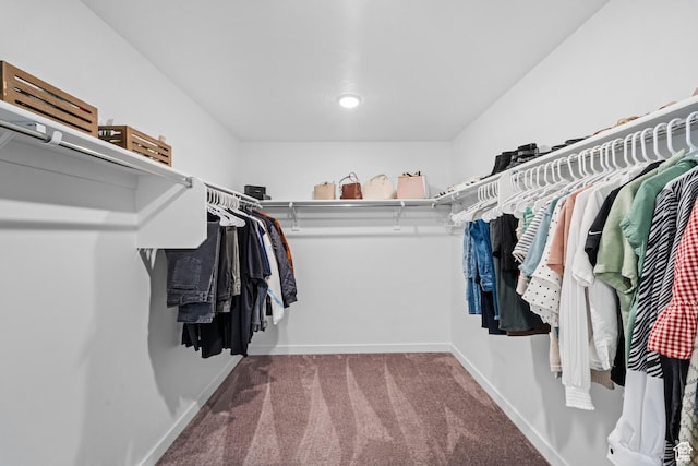 47 E Broxburn Way N, Tooele, UT 84074 - spacious closet featuring carpet flooring