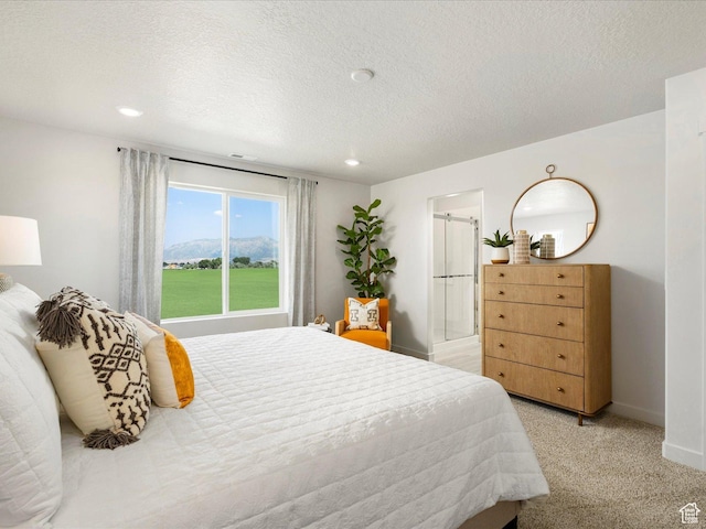 3453 S 3100 W Unit 0173, West Haven, UT 84401 - bedroom with recessed lighting, baseboards, light colored carpet, and a textured ceiling