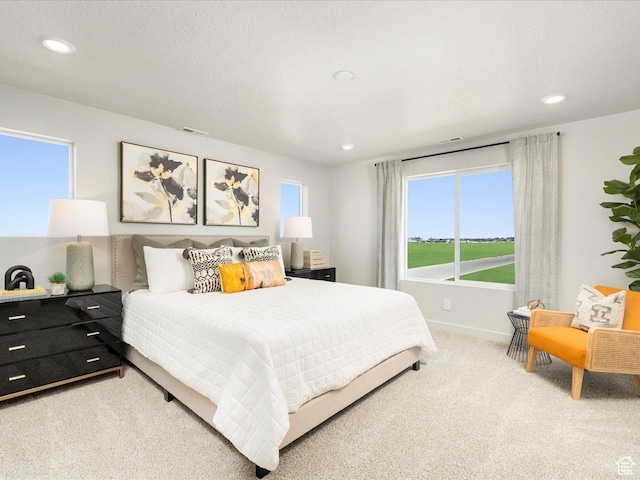 3453 S 3100 W Unit 0173, West Haven, UT 84401 - bedroom with light carpet, recessed lighting, and baseboards
