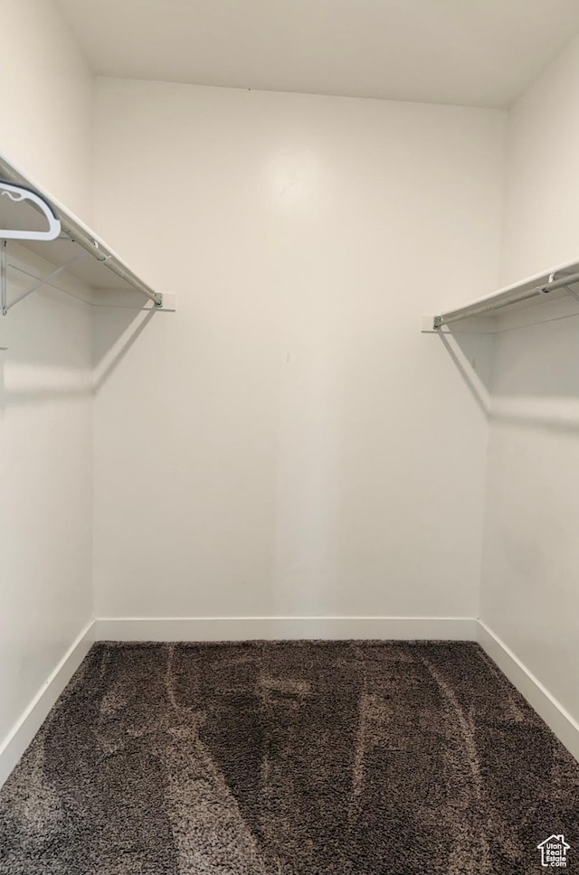 875 S Depot St Unit C211, Clearfield, UT 84015 - spacious closet with carpet flooring